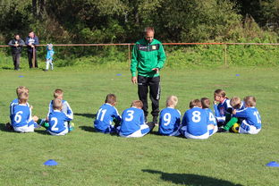 爱游戏体育在线-中国篮球教练员在比赛中决策行为研究，篮球教练员行为准则